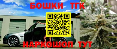 стафф Можга