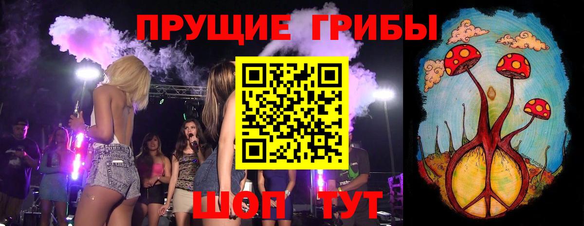 Галлюциногенные грибы прущие грибы Славянск-на-Кубани